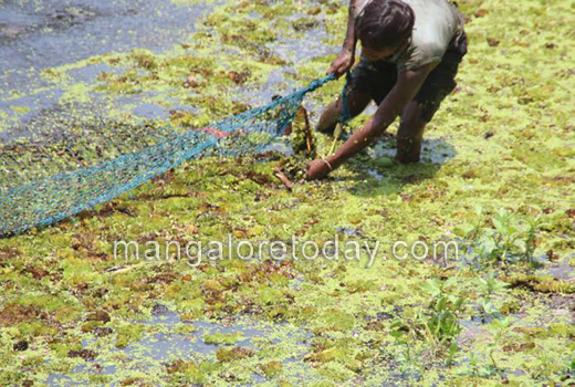 MLA JR Lobo inspects Gujjarakere lake 1